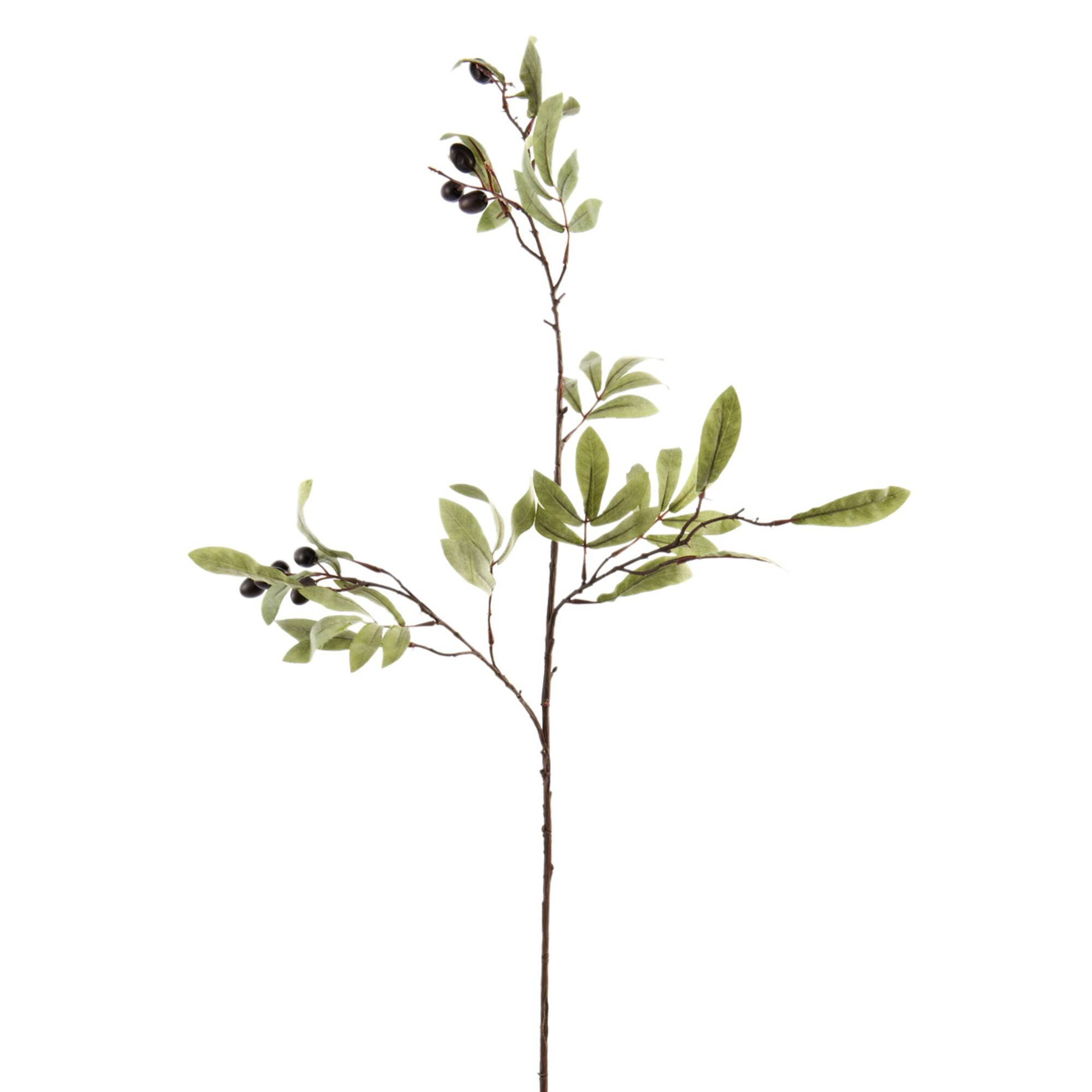 12 Pack: Olive Branch Spray by Ashland®